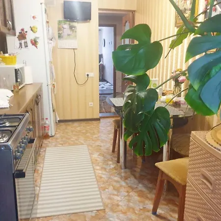 Kolizey Zarsk Aear Apartman *